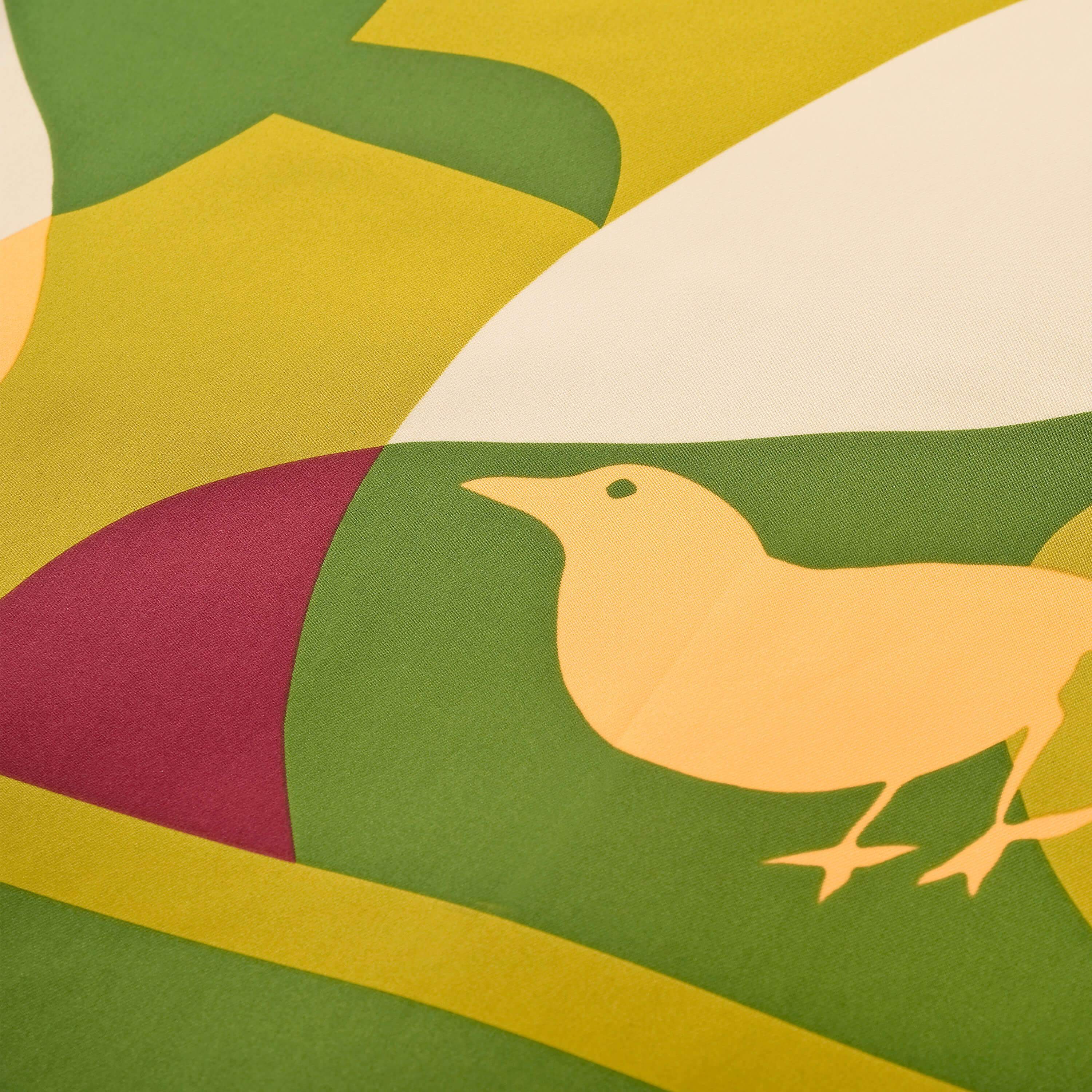 哺乳围巾摩登鸟（绿色）